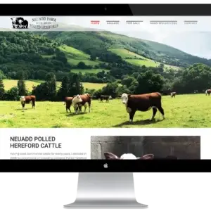 Neuadd Farm
